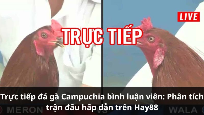 truc-tiep-da-ga-campuchia-binh-luan-vien-2